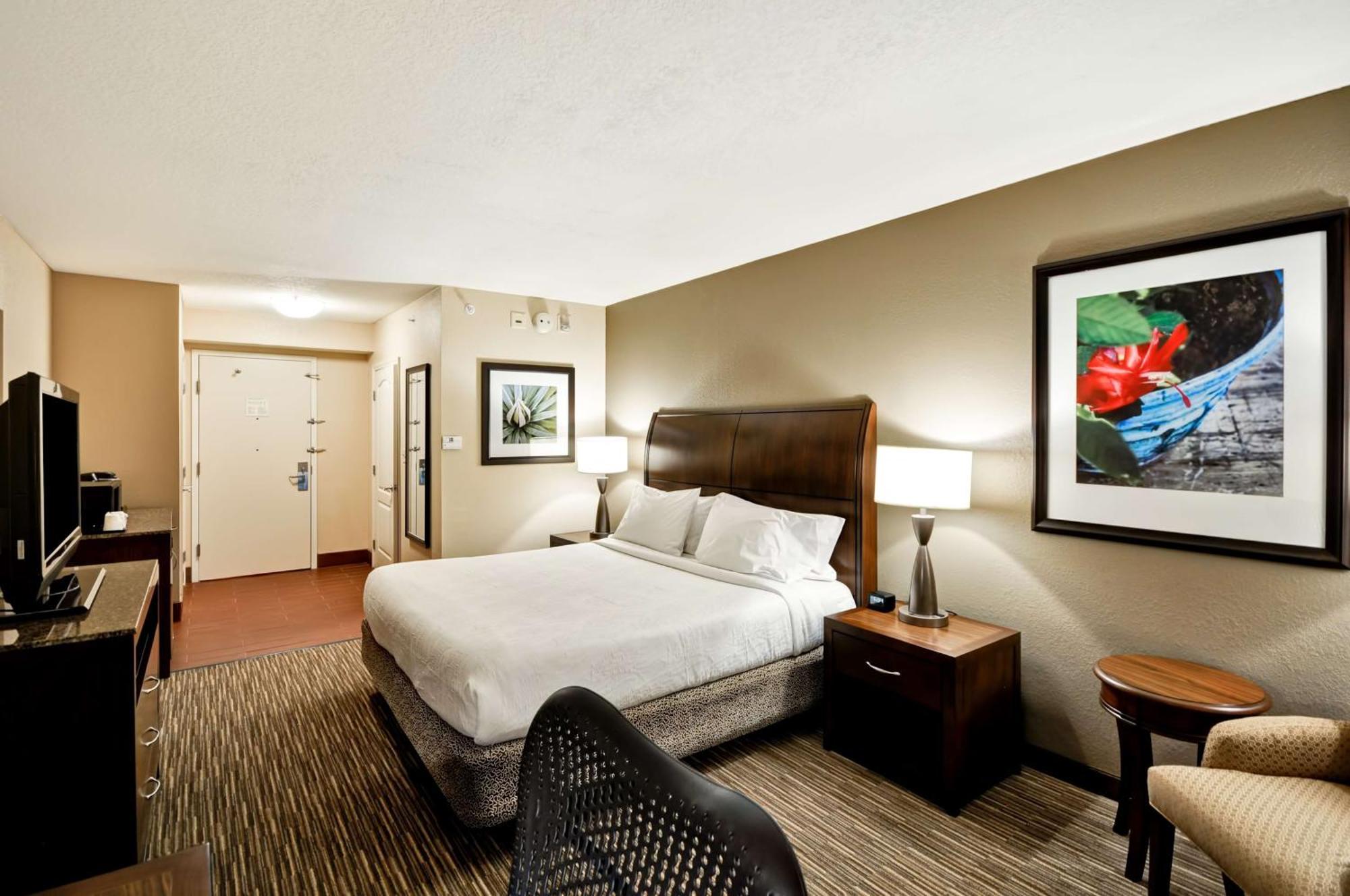 Hilton Garden Inn Tampa North Temple Terrace Exterior photo